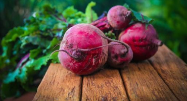 Je možné, aby prasata a selata dávali červenou řepu, její výhody a škody